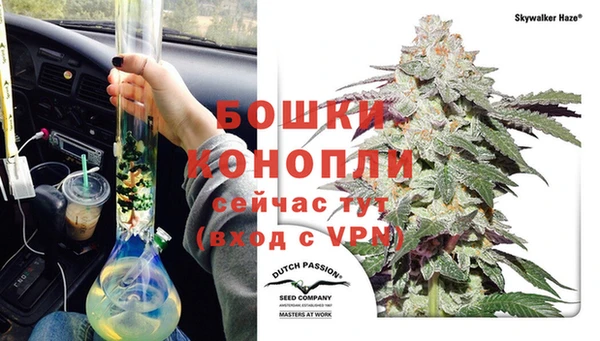 дживик Богданович