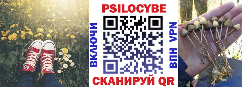 Купить где  Рязань  Галлюциногенные грибы Psilocybe 