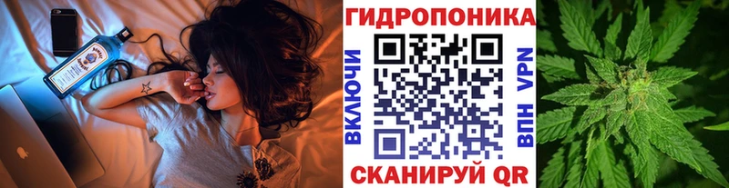Каннабис сатива Рязань
